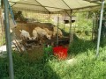 IMG_20260730_101502