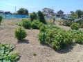 IMG_20260730_105902