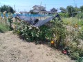 IMG_20260730_105913