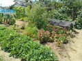 IMG_20260730_105930