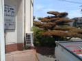 IMG_20260730_113057