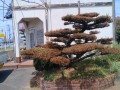 IMG_20260730_113122