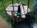 IMG_20260731_090900