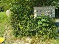 IMG_20260731_090907