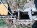 IMG_20260731_090912