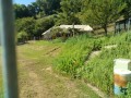 IMG_20260731_090937