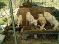 IMG_20260731_091727