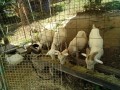 IMG_20260731_091733
