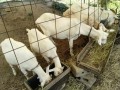 IMG_20260731_091745