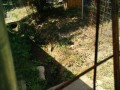 IMG_20260731_091750