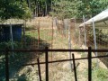 IMG_20260731_091813