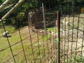 IMG_20260731_091824