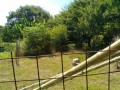 IMG_20260731_091828