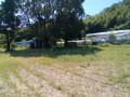 IMG_20260731_101502