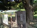 IMG_20260731_101555