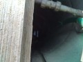 IMG_20260801_082039