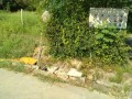 IMG_20260801_082047