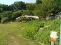 IMG_20260801_082122