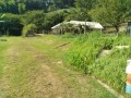 IMG_20260801_082136