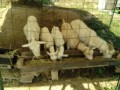 IMG_20260801_082609