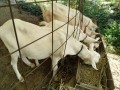 IMG_20260801_082624