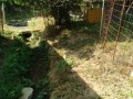 IMG_20260801_082629