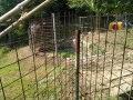 IMG_20260801_082701