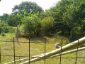 IMG_20260801_082703