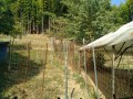 IMG_20260801_082718