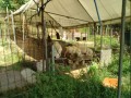 IMG_20260801_082822