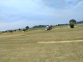 IMG_20260801_104334