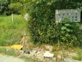 IMG_20260802_092357