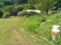 IMG_20260802_092442