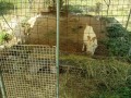 IMG_20260802_092629