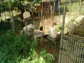 IMG_20260802_092631