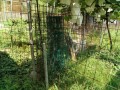 IMG_20260802_092635