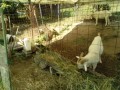 IMG_20260802_092704