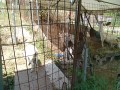 IMG_20260802_092722