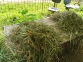 IMG_20260802_092724