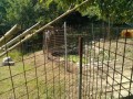 IMG_20260802_092736