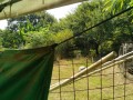 IMG_20260802_092739