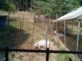 IMG_20260802_092751