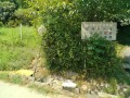 IMG_20260803_103947