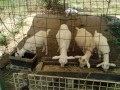 IMG_20260803_104236