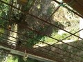 IMG_20260803_104258
