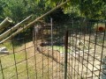 IMG_20260803_104311