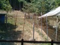 IMG_20260803_104322
