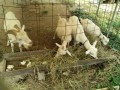IMG_20260804_085436