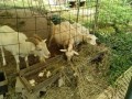 IMG_20260804_085441