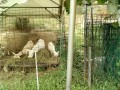 IMG_20260804_085451